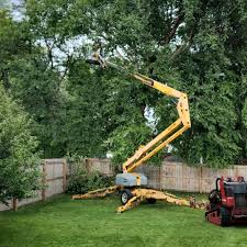 Best Emergency Tree Removal  in Alma, MI